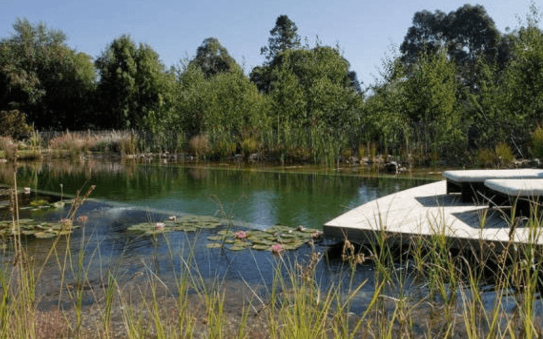 What are natural swimming pools and how do they work?